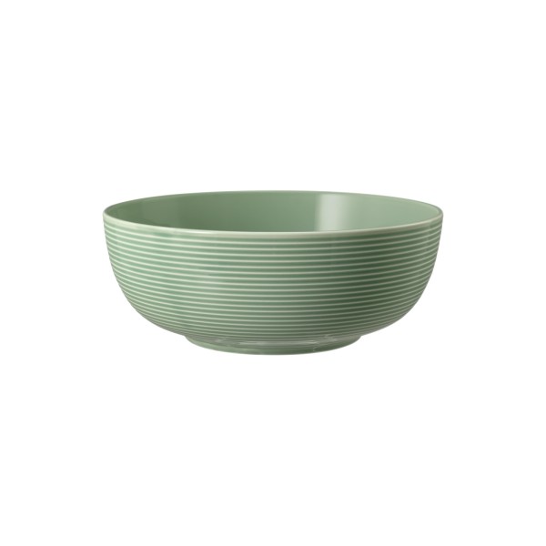 Seltmann Weiden Beat Color Glaze Foodbowl ø 20,4 cm - Salbeigrün - DS