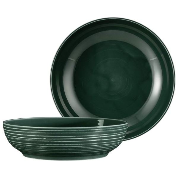 Seltmann Weiden Terra Foodbowl ø 25,5 cm moosgrün 2er Set - DS