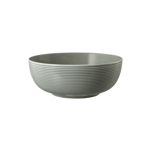 Seltmann Weiden Beat Color Glaze Foodbowl ø 20,4 cm - Perlgrau - DS