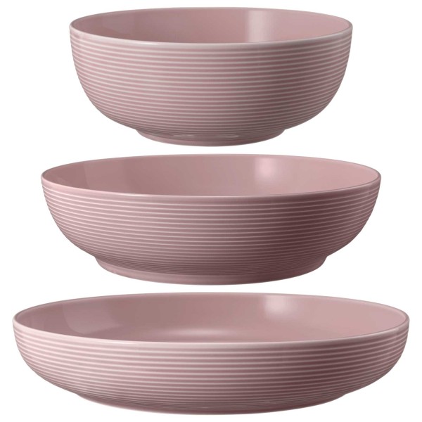 Seltmann Weiden Beat Color Glaze Foodbowl Set 3-teilig Altrosa - DS