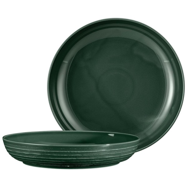 Seltmann Weiden Terra Foodbowl ø 28,4 cm moosgrün 2er Set - DS