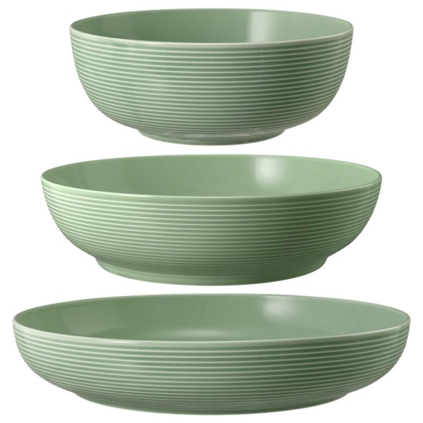 Seltmann Weiden Beat Color Glaze Foodbowl Set 3-teilig Salbeigrün - DS